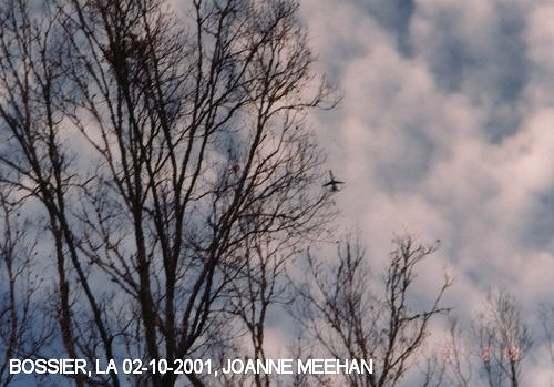 Chemtrails over Bossier, LA on 02-10-2001
