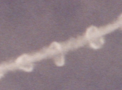 Sprayings over Bossier, LA on 03-10-2001, detail of the image 0310011
