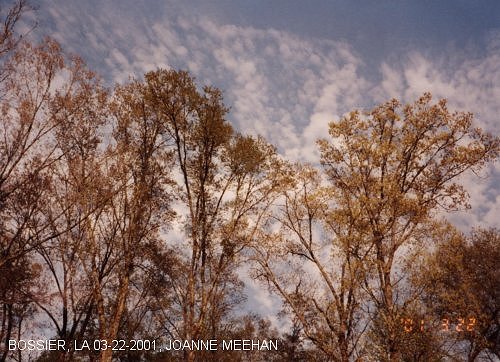 Sprayings over Bossier, LA on 03-22-2001