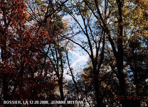 Chemtrails over Bossier, LA on 12-20-2000