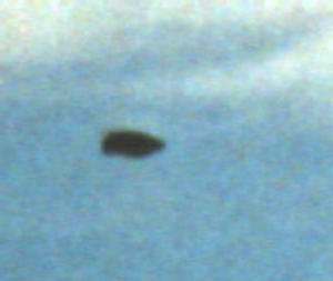 A bird or something else?